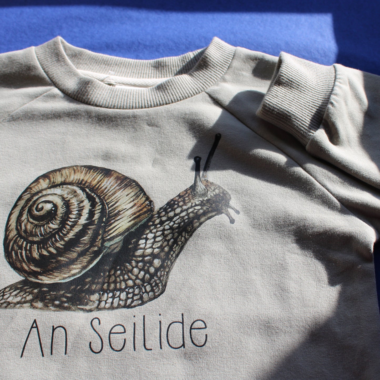 An Seilide