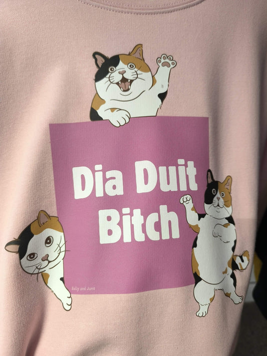 Dia duit bitch - Sweater